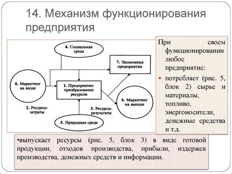 Этапы и механизм функционирования