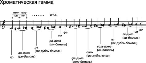  Диатоника и диатоническая гамма в музыке 