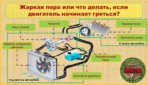  Как работает пендюх 